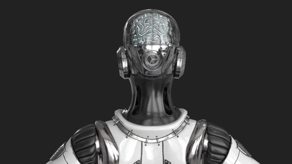 Cyborg Robot  Androgyne RIGGED
