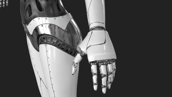 Cyborg Robot  Androgyne RIGGED