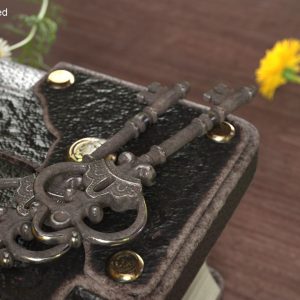 decorative-skeleton-key-steel-3d-model-2ce3bb692e