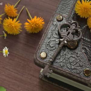 Decorative Skeleton Key Steel