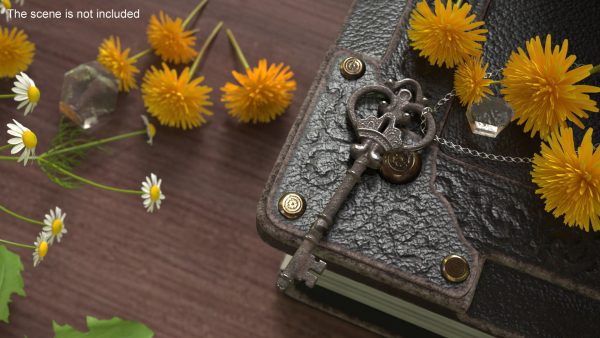Decorative Skeleton Key Steel