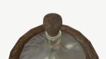 Demijohn Wine