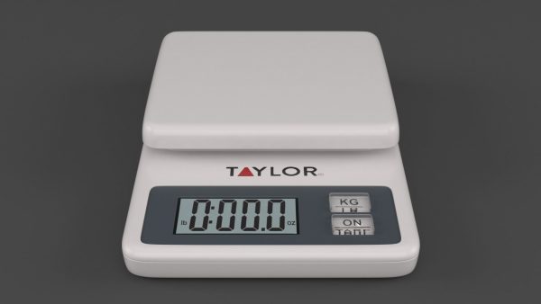 Digital Food Scale