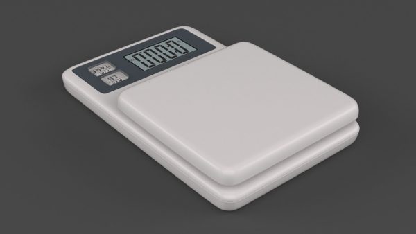 Digital Food Scale
