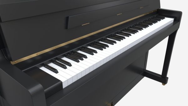 Digital Piano 02 open lid