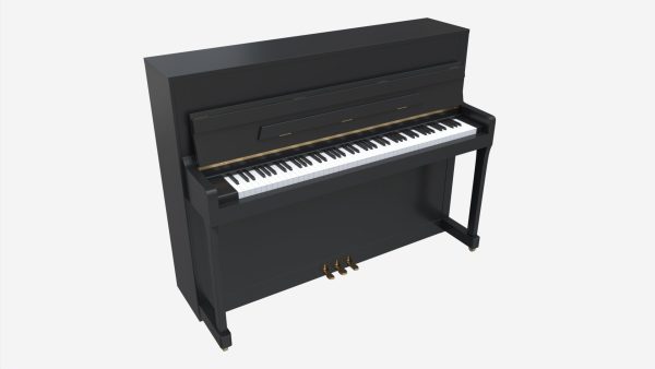 Digital Piano 02 open lid