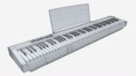 Digital Piano 03