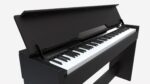 Digital Piano 05