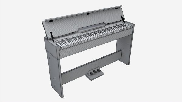 Digital Piano 05