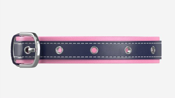 Dog Collar Leather