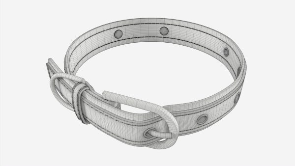 Dog Collar Leather