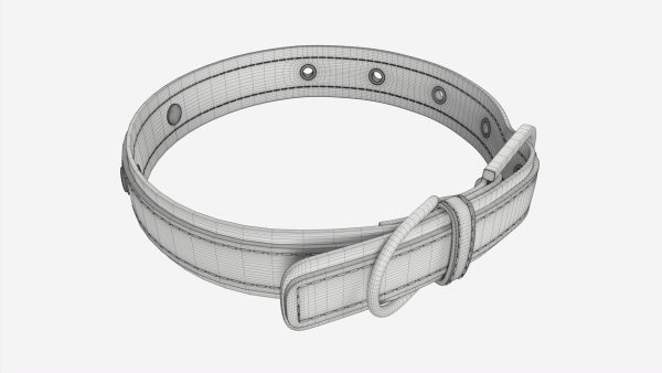 Dog Collar Leather