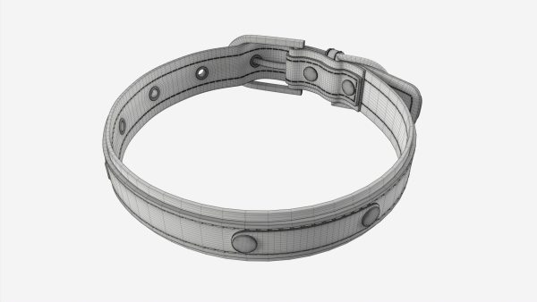 Dog Collar Leather