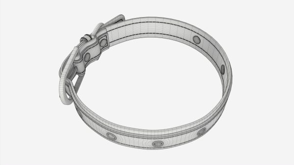 Dog Collar Leather
