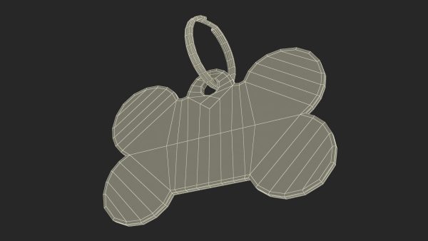 Dog Collar Tag Chrome