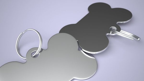 Dog Collar Tag Chrome