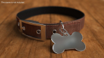 Dog Collar Tag Chrome