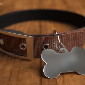 Dog Collar Tag Chrome