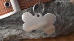 Dog Collar Tag Chrome