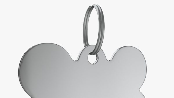 Dog Collar Tag Chrome