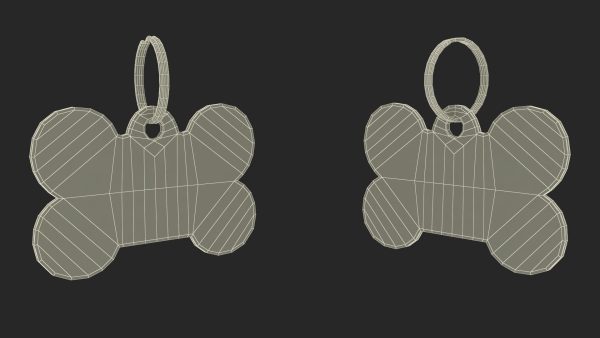 Dog Collar Tag Chrome