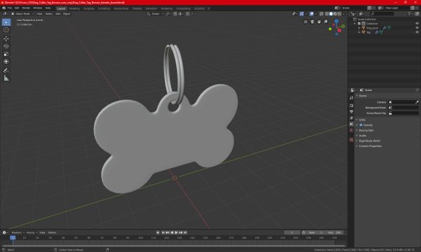 Dog Collar Tag Chrome