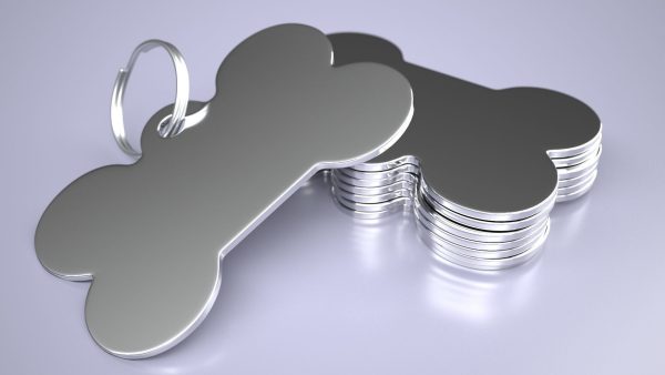 Dog Collar Tag Chrome