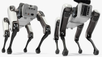 Dog Robot Generic Rigged for Cinema 4D