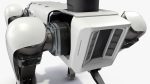 Dog Robot Generic Rigged for Cinema 4D