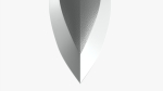 Dragon gladius chrome
