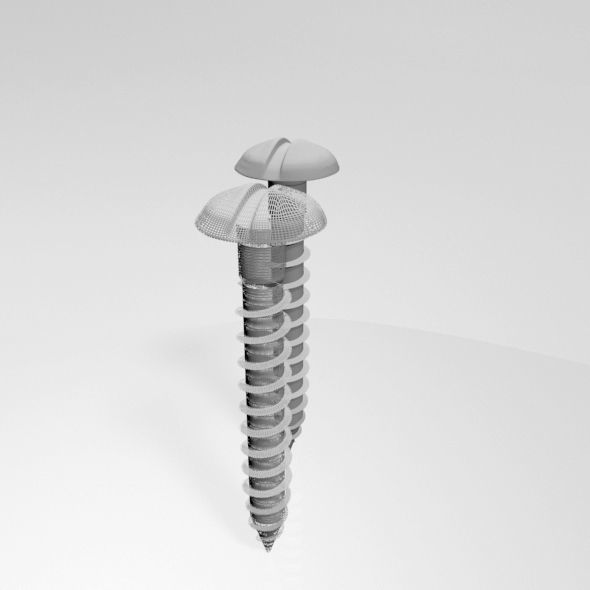 Drywall Screw 07