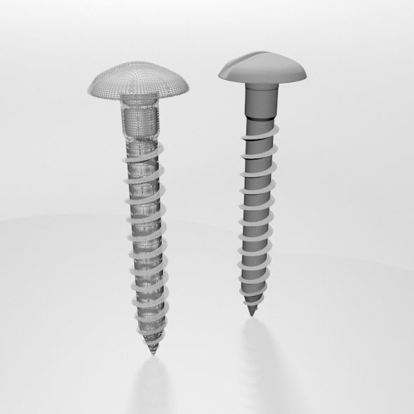 Drywall Screw 07