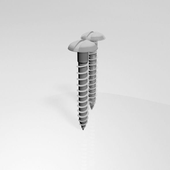 Drywall Screw 07