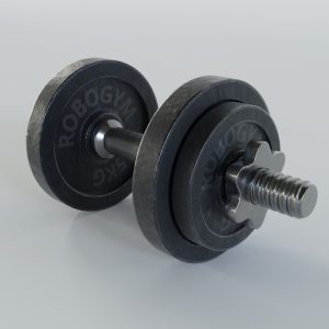 dumbbell-3d-model-obj-3ds-fbx-stl-blend-dae