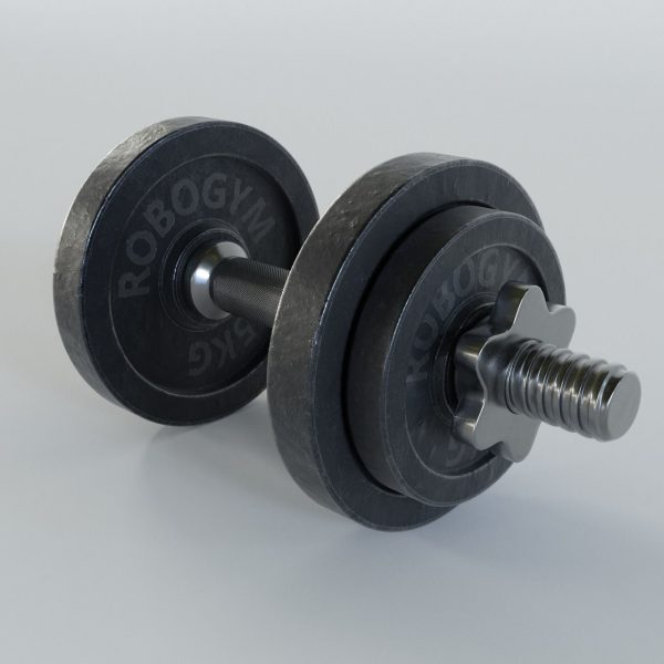 Dumbbell pair of dumbbells
