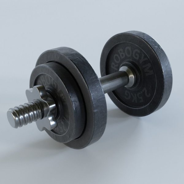 Dumbbell pair of dumbbells