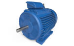 Electric motor