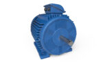 Electric motor