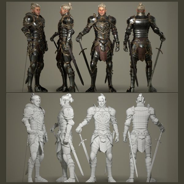 Elf Knight Character