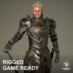 Elf Knight Character