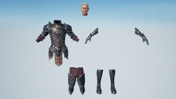 Elf Knight Character