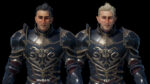 Elf Knight Character