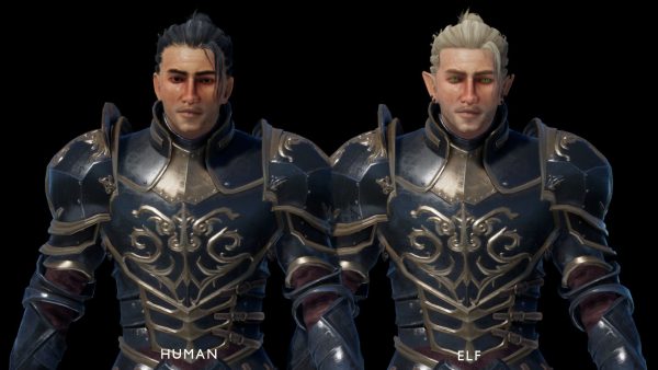 Elf Knight Character