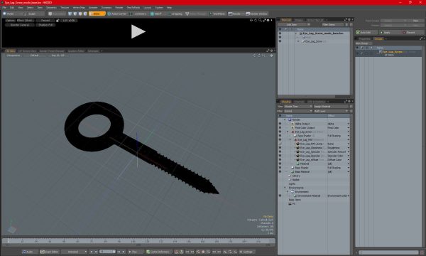 Eye Lag Screw