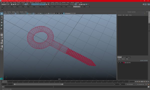 Eye Lag Screw