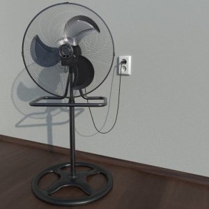 Fenici fan