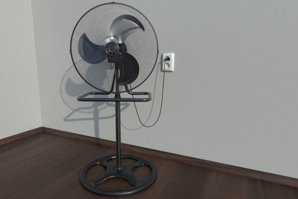 Fenici fan