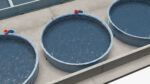 Fish Farm Covered