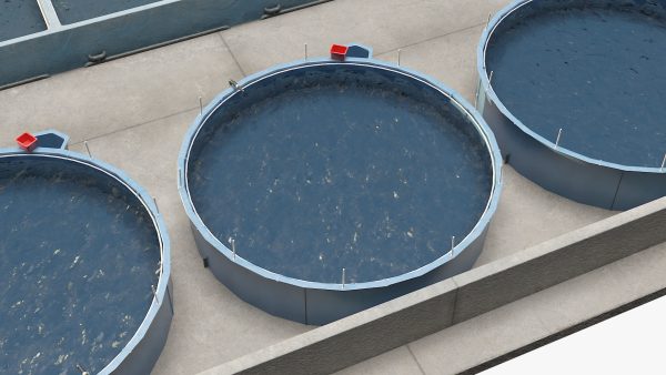Fish Farm Covered