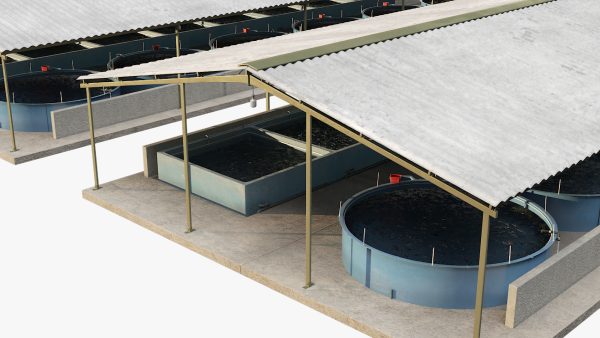 Fish Farm Covered